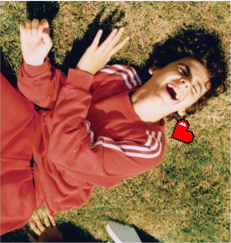 Jackdgrazer ️ Wiki •jack D Grazer• Amino 1371