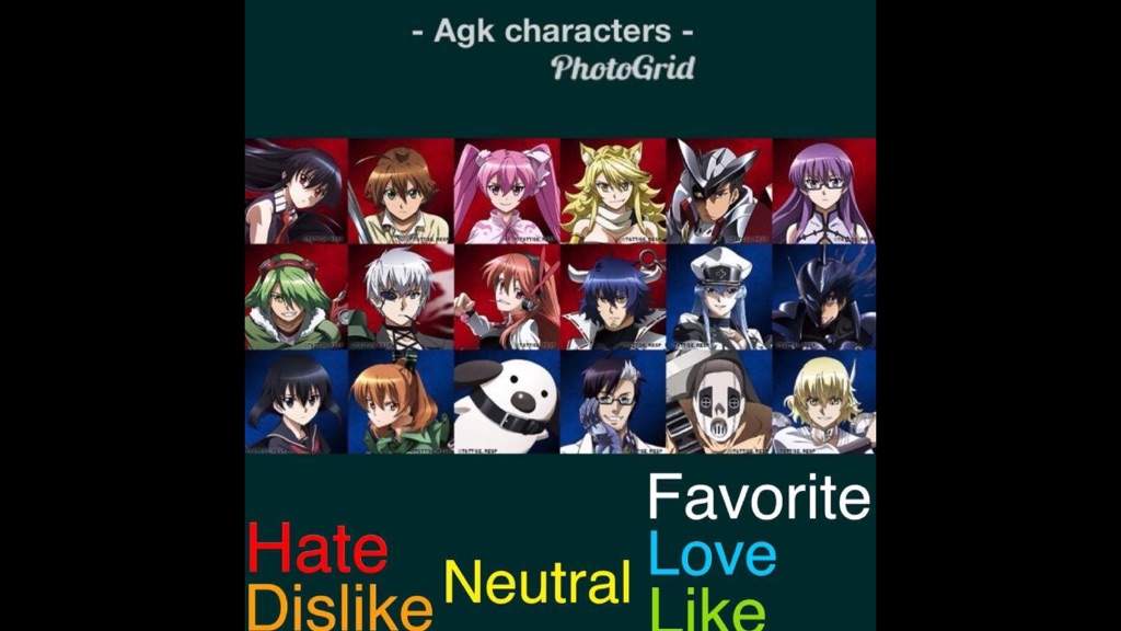 Character Opinions | Akame Ga Kill Amino