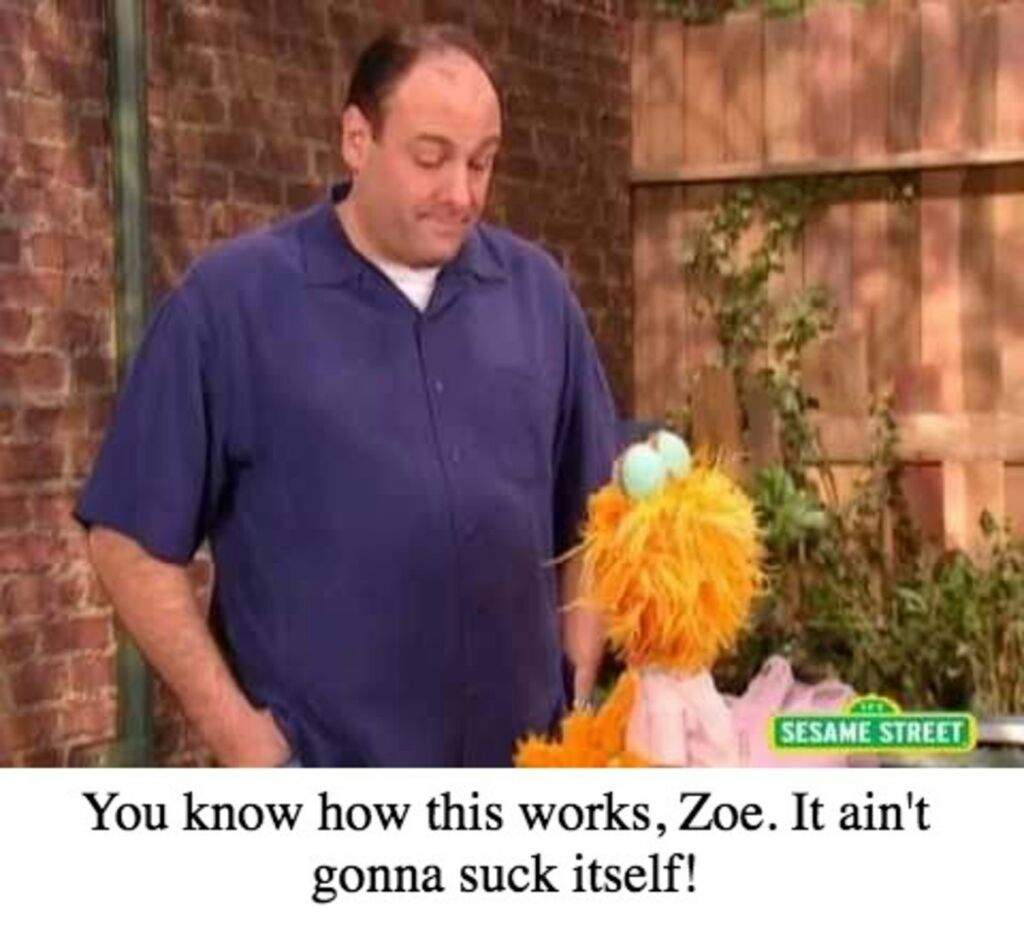 sesame street memes sesame street memes