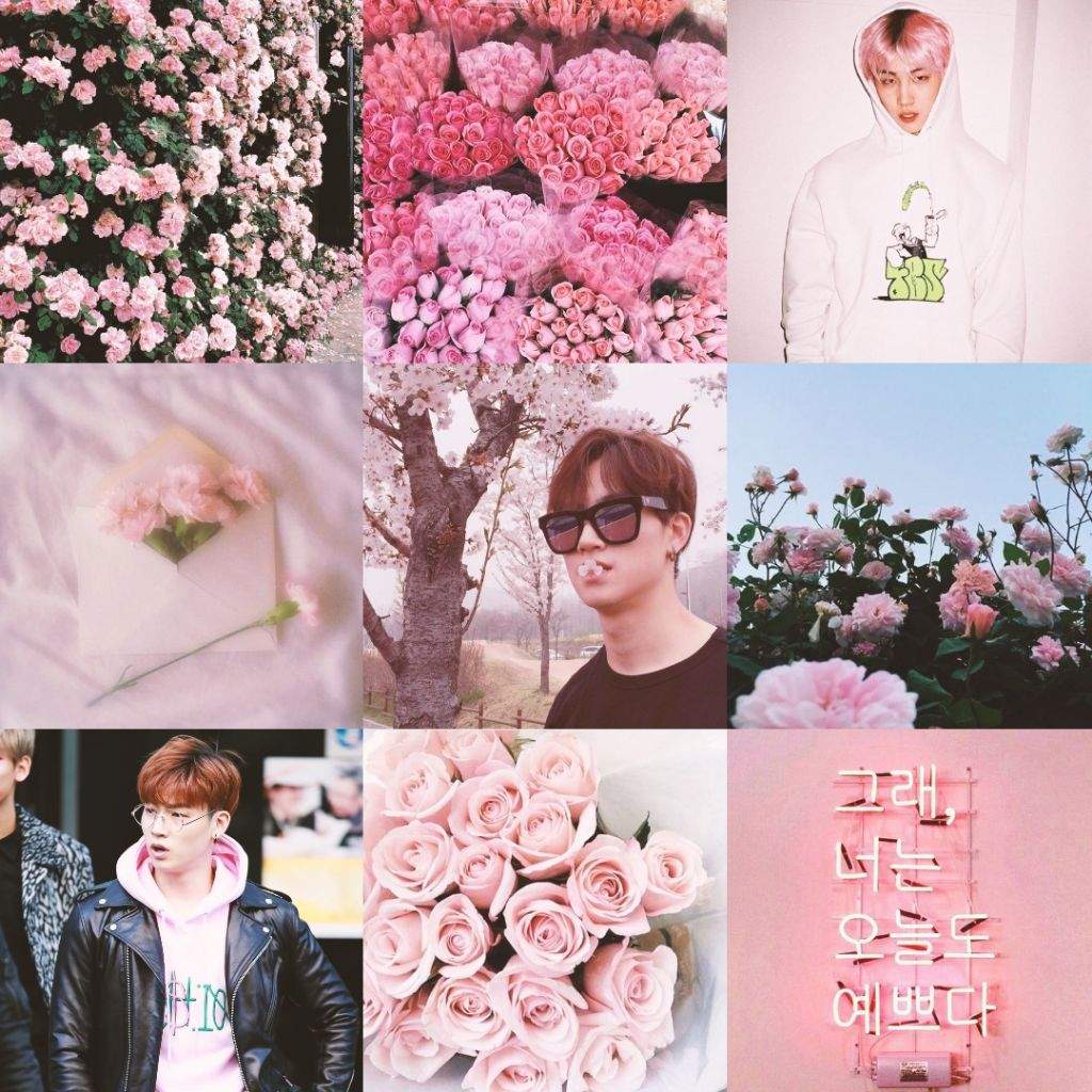 Got7 Edits (flower aesthetics) | GOT7 Amino