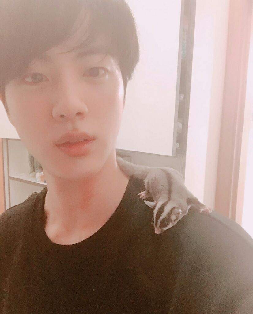 Jin and his sugar gliders | ARMY's Amino