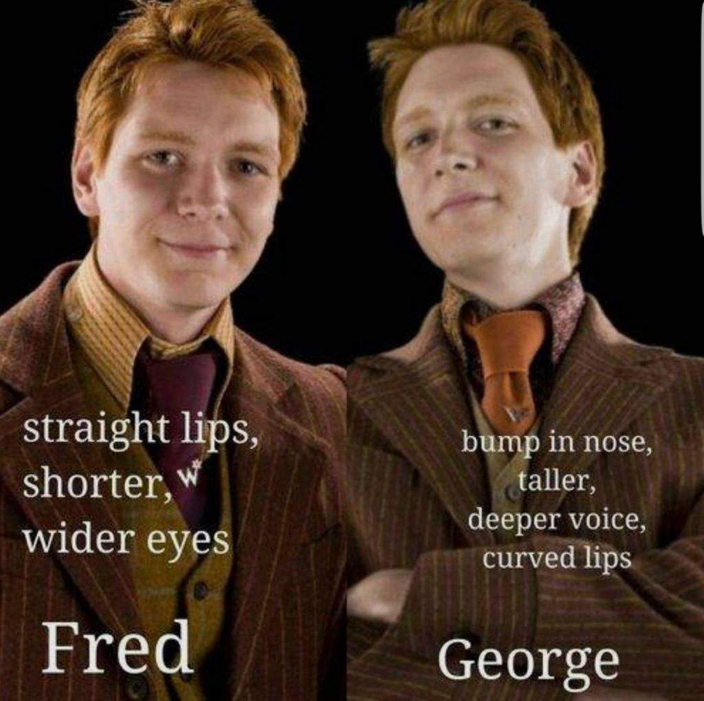 Nah i still wouldnt be able to tell who is who 😂😂 Weasley twins 😻 # ...