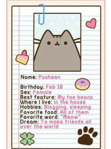 pusheen stormy unicorn