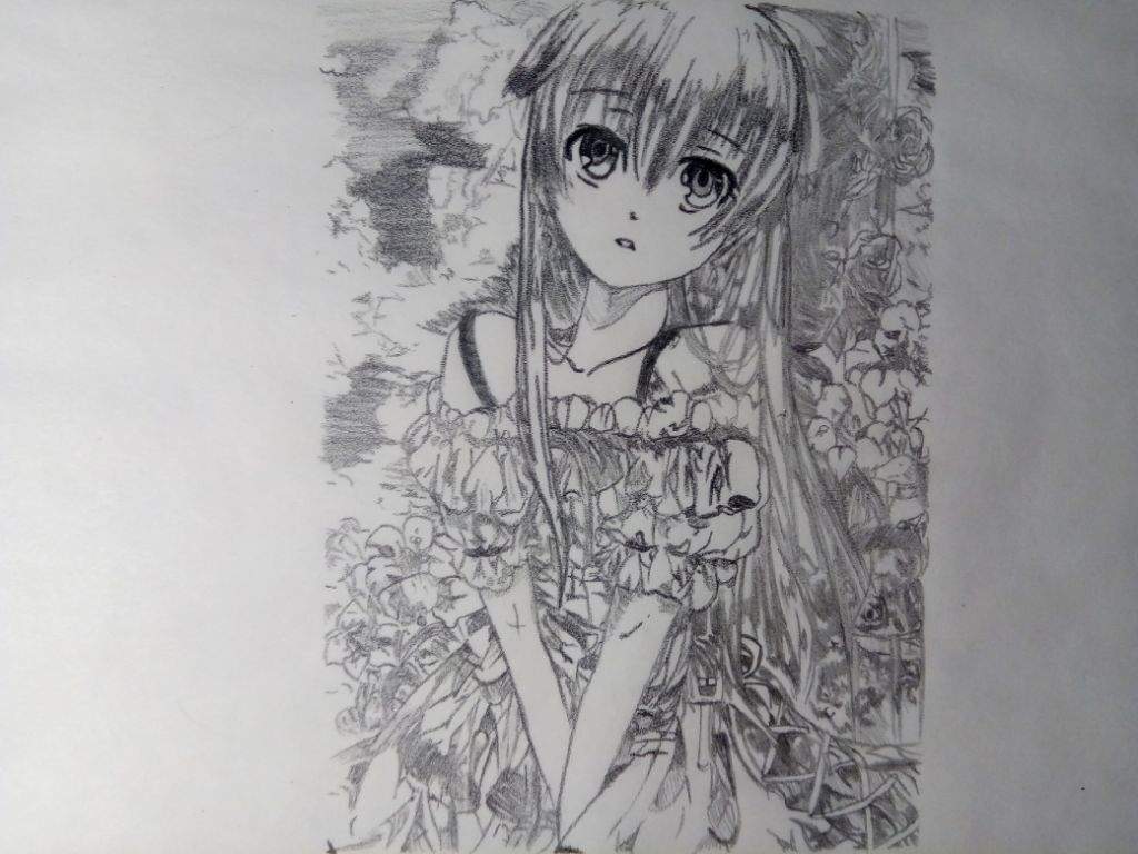 Very Detailed Anime Drawings