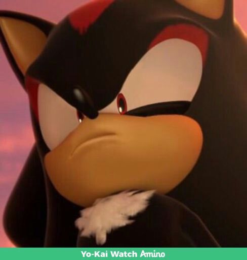 tails chao plush