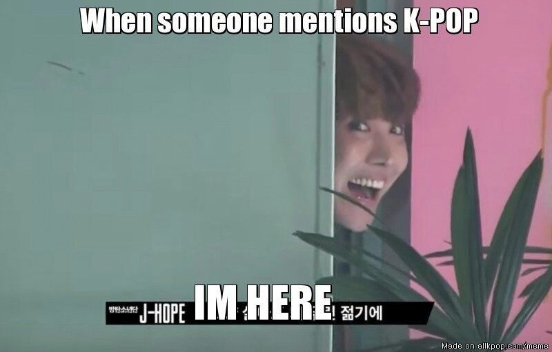 Memes that describe me army memes amino