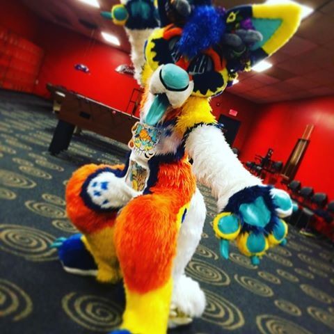 ElkCraftFursuits | Wiki | Furry Amino