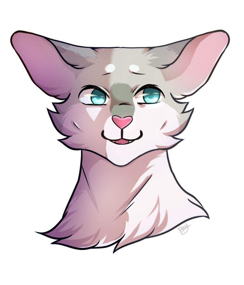 Slatekit | Wiki | Warrior Cats Amino Amino