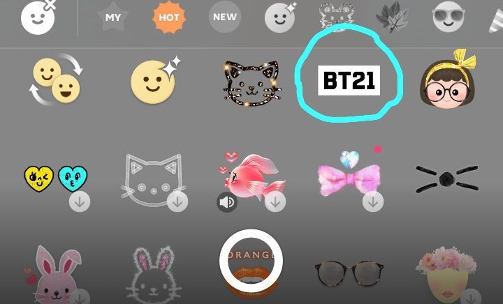Bt21 Filter On B612 Army S Amino