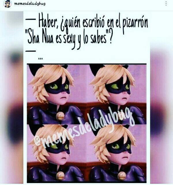 Memes De Ladybug Y Chat Noir