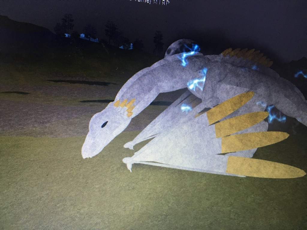 roblox wyvern amino rp head dragon roleplay