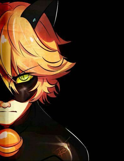 Chat noir | Wiki | •Miraculous Ladybug Español• Amino