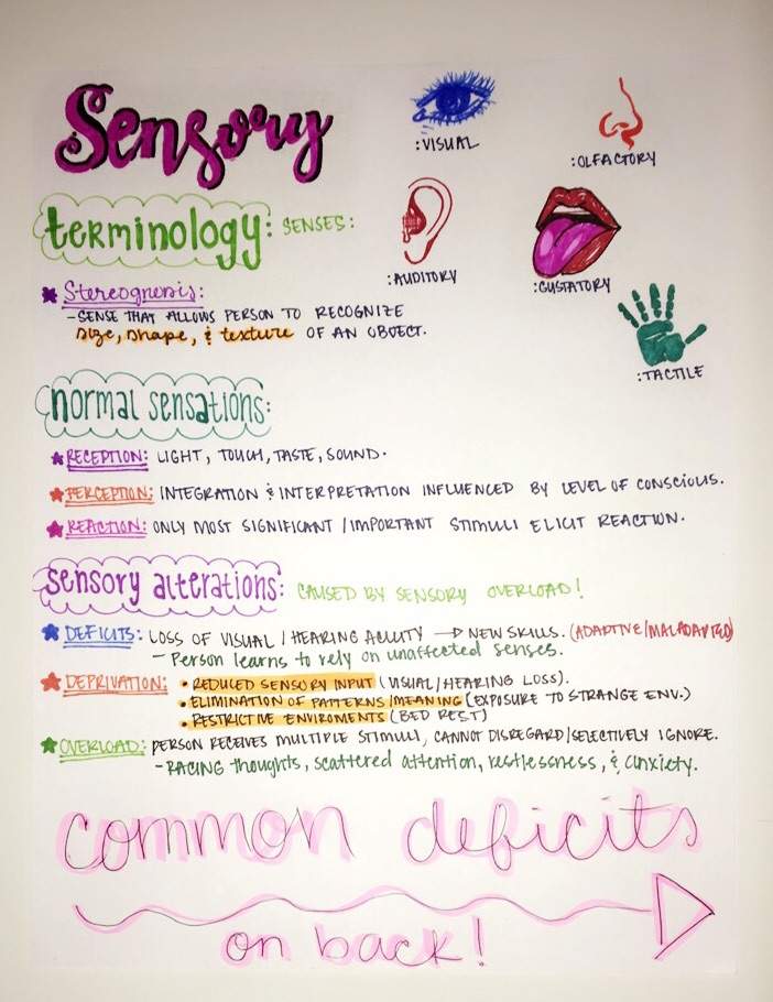 Nursing notes | Studying Amino Amino