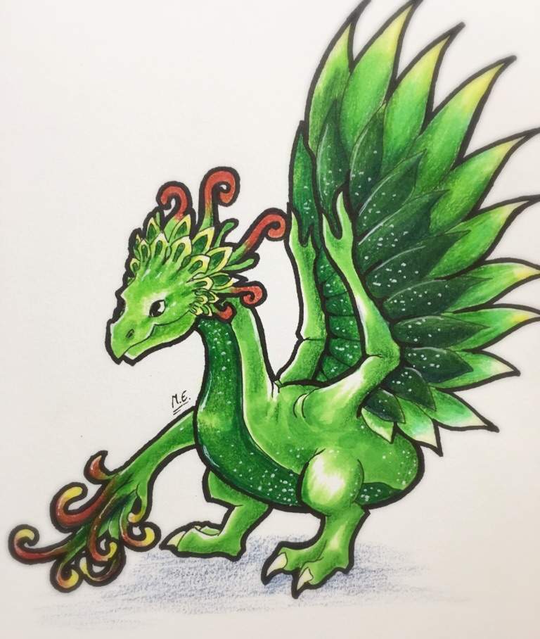 Elder plant Dragon! 