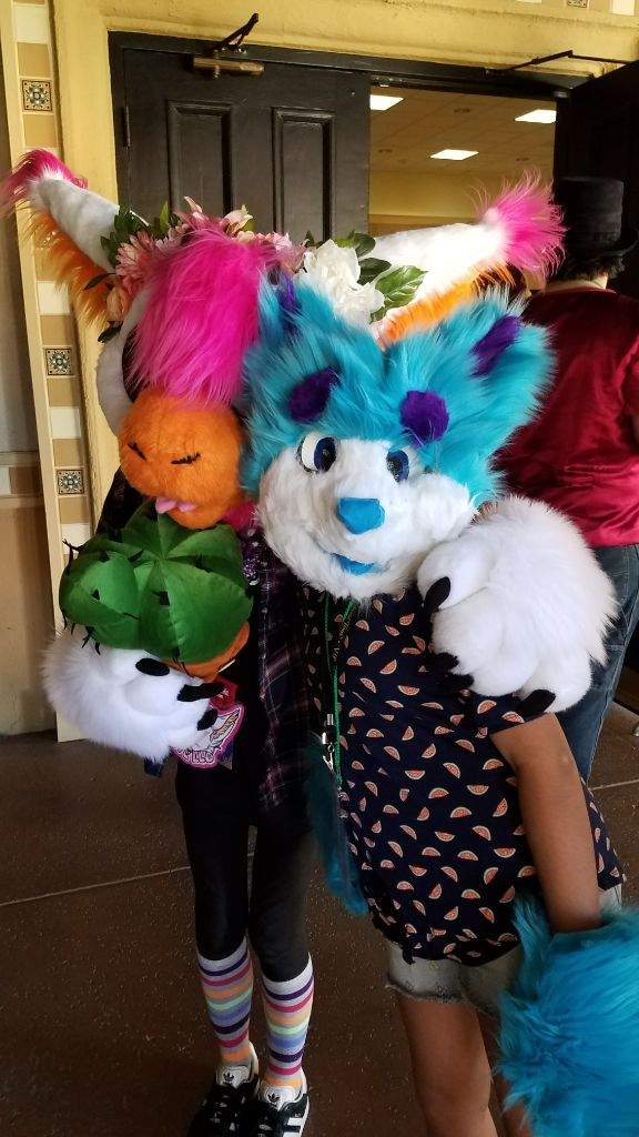 AZFC! My first con! | Furry Amino