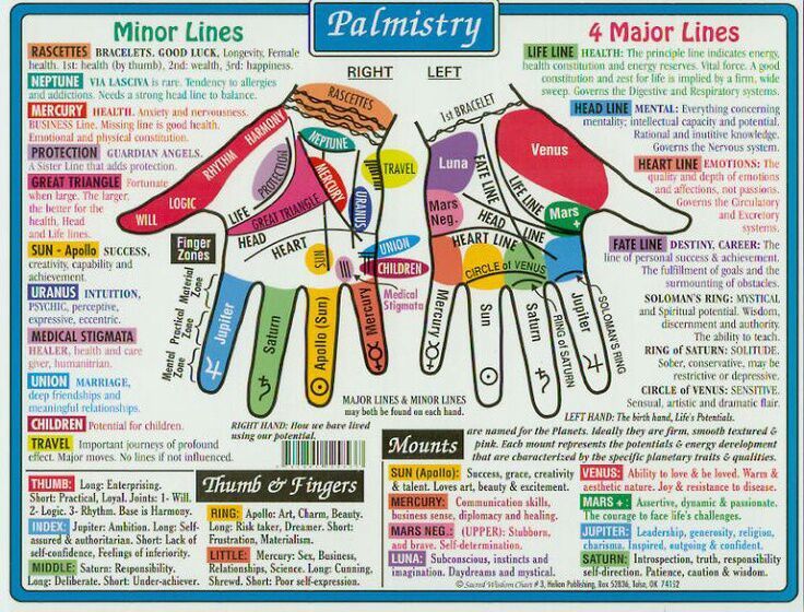 Palmistry Map [Quick and Handy] | The Witches' Circle Amino