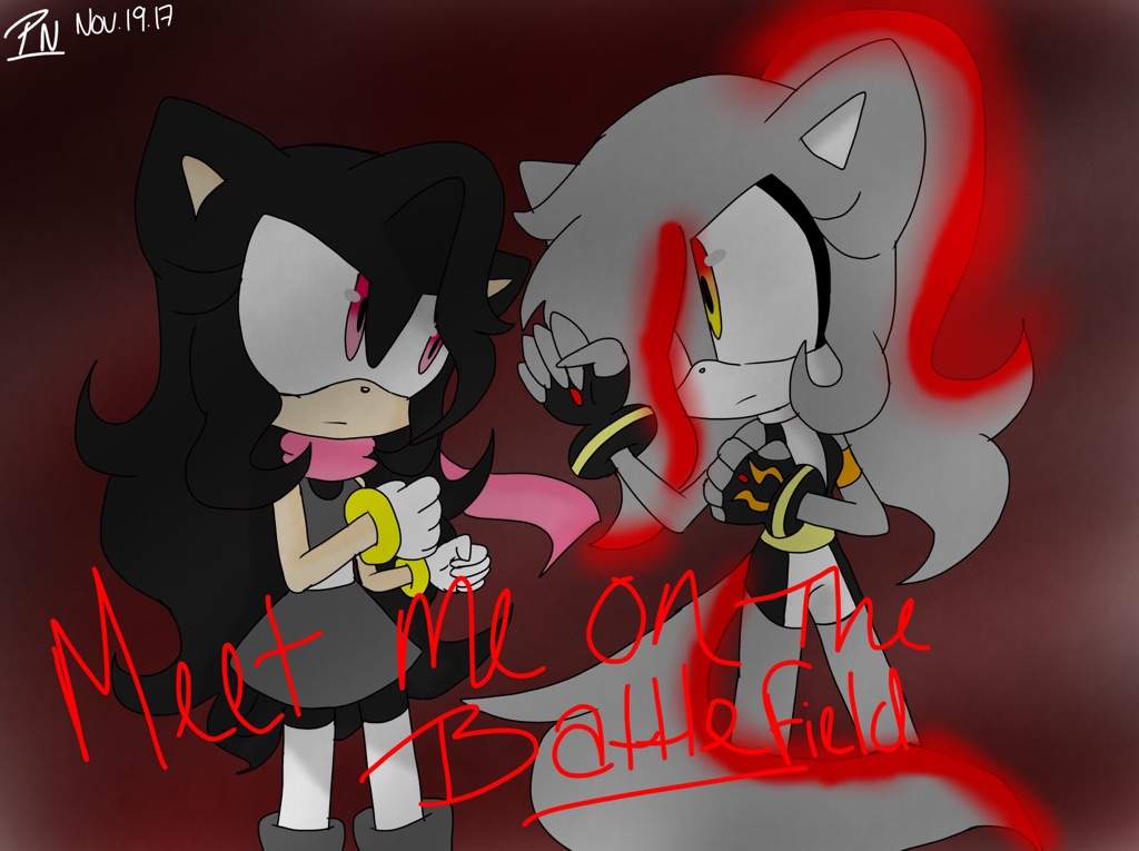 Cassidy And Mias Rivalry Sonic The Hedgehog Amino