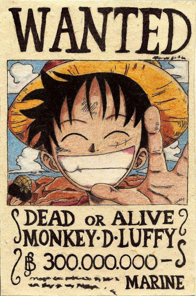 RECOMPENSAS DE MONKEY D. LUFFY | •One Piece• Amino