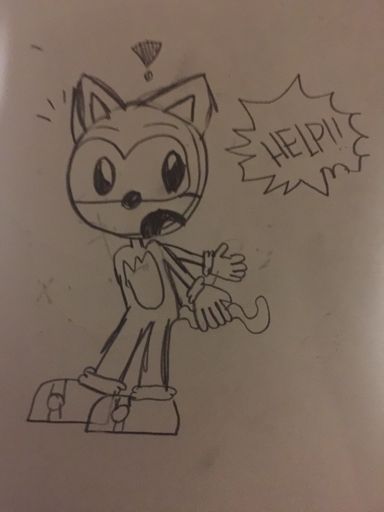 Kitty the Kat | Wiki | Sonic the Hedgehog! Amino