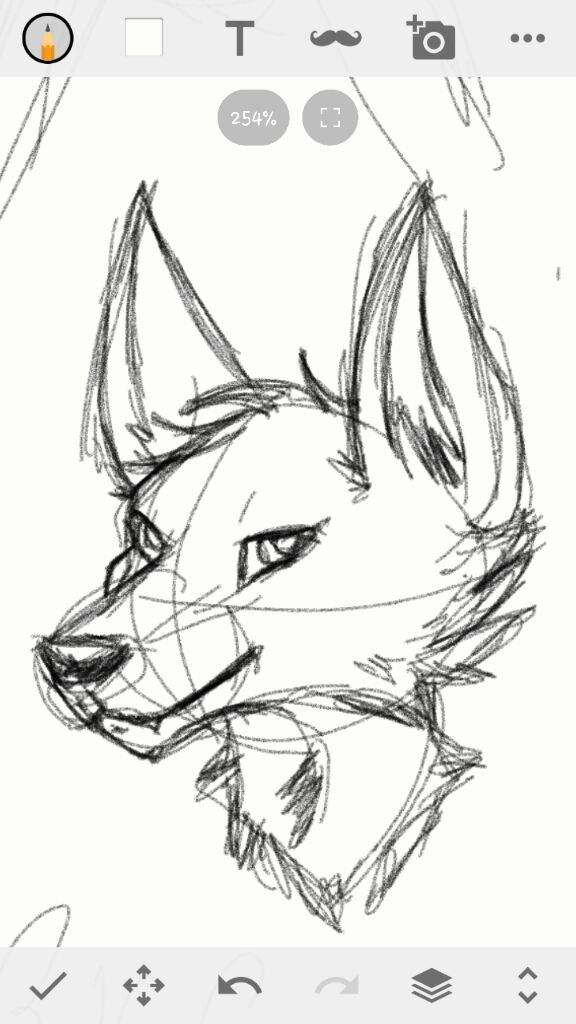 Fox Furry Head Base Drawing - Fotomuslik