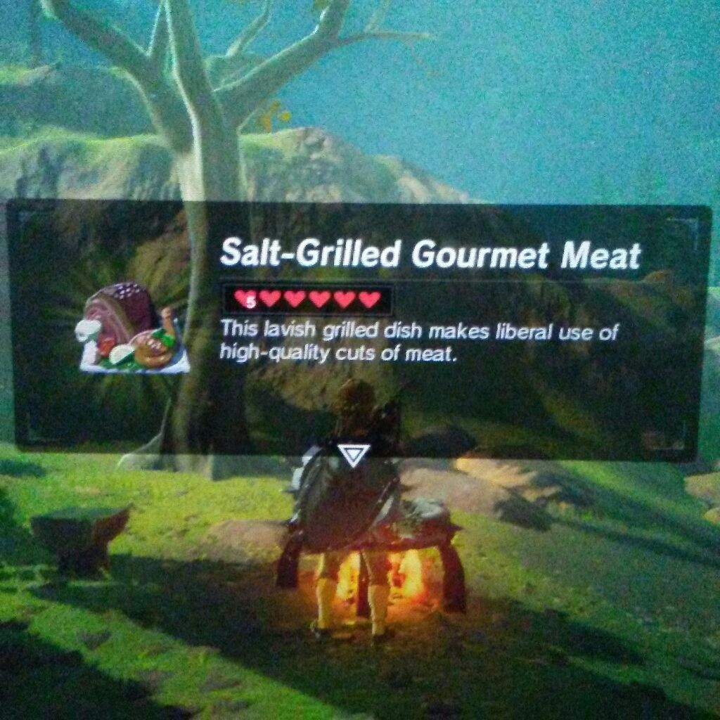 Botw Bird Recipes Wiki Zelda Amino