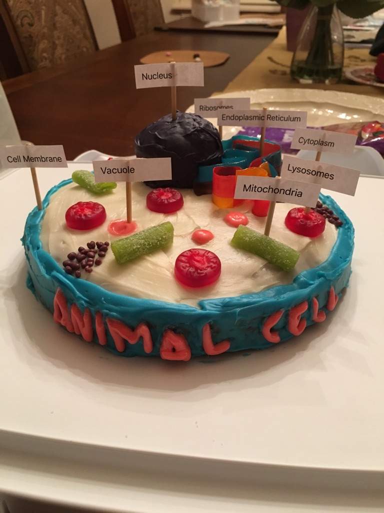 Cell Cake | Crafty Amino
