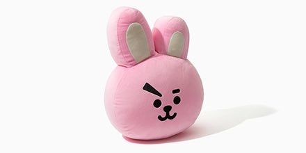 bt21 big pillow