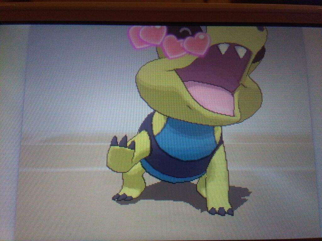 sandile wallpaper