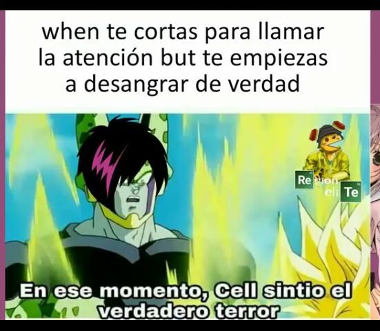 Recopilacion Del Meme De Desde Ese Momento Cell Sintio El Verdadero