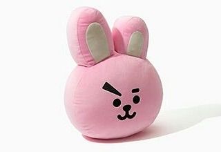 bt21 cuddle pillow