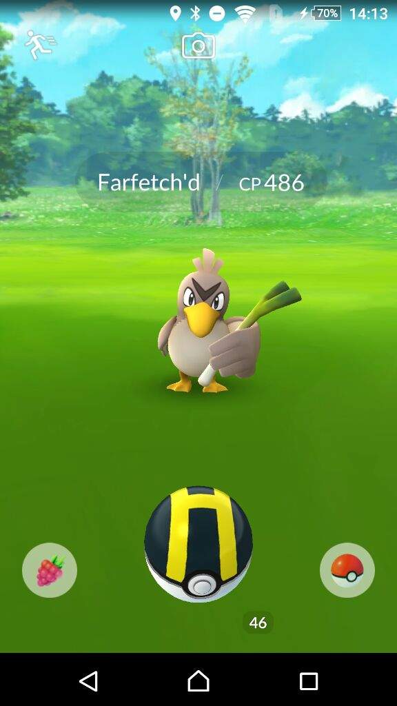 Got the FarFetch'd! ) Pokemon GO Amino