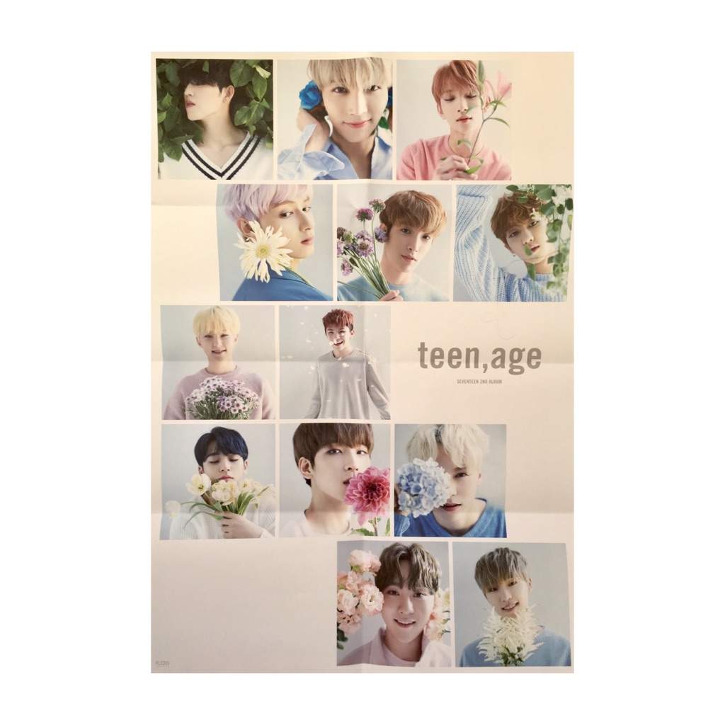 SEVENTEEN Teen,age White ジュン トレカ - K-POP