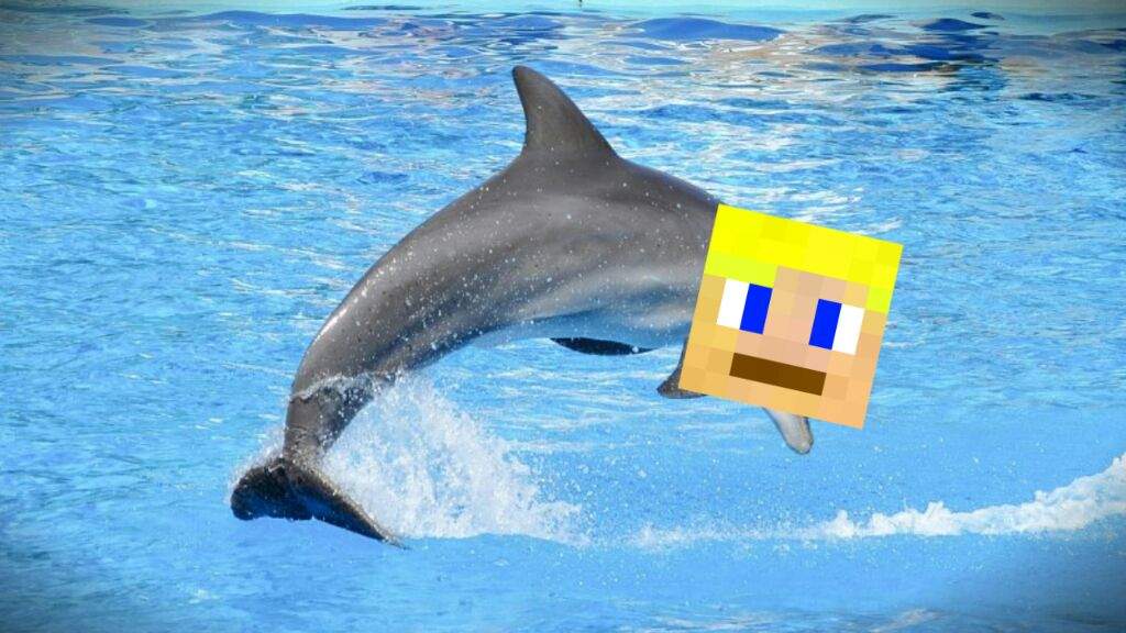 AQUATIC UPDATE MINECRAFT 1.4  Minecraft Amino