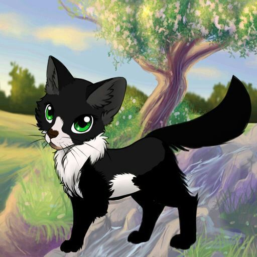 Lunashine | Wiki | Warrior Cats Writing Amino