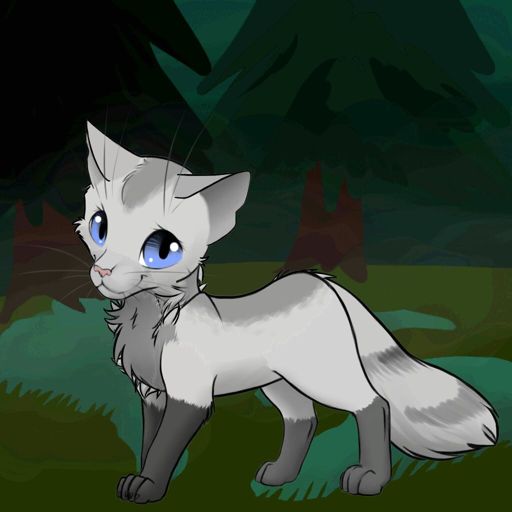 Frost. (Rouge awaiting warrior name.) | Wiki | °•Warriors Amino•° Amino