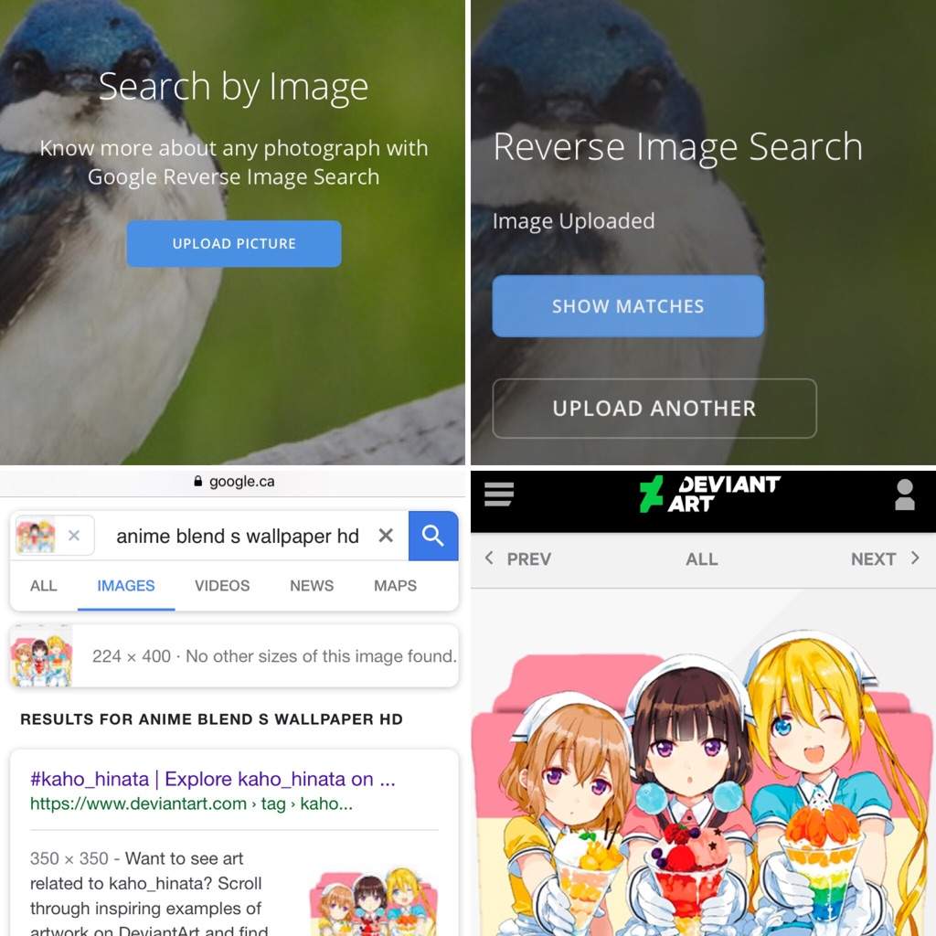 Miu Amano Wiki Blend S Amino