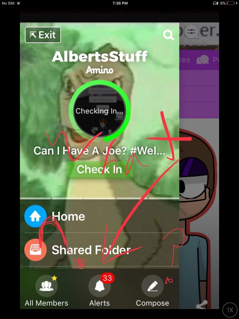 What | AlbertsStuff Amino