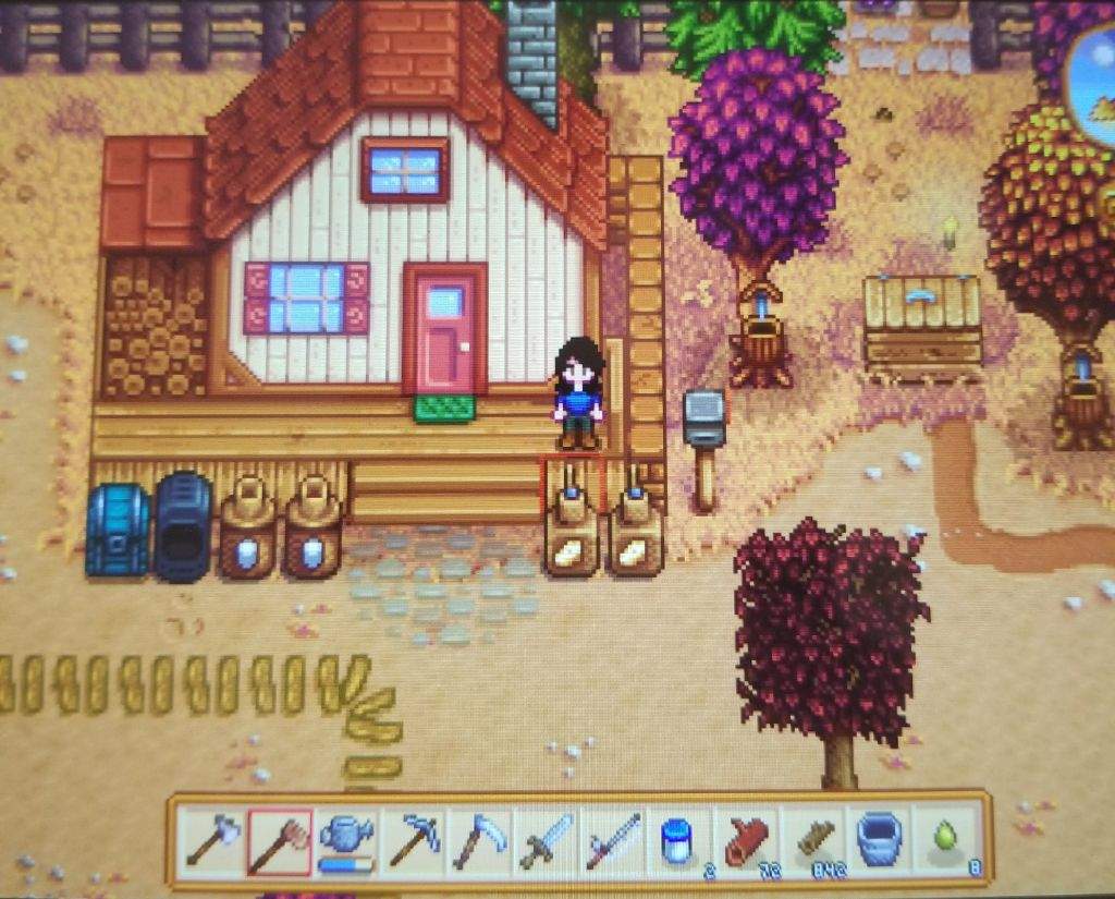 Farm Pictures Stardew Valley Amino