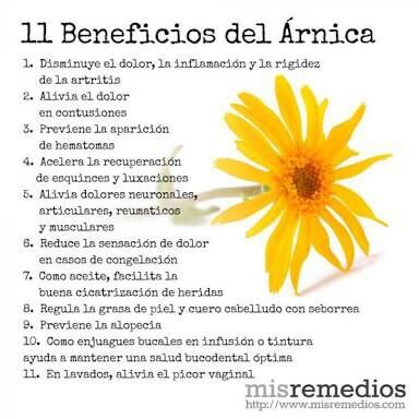 Arnica Tagsemanal Wicca Y Paganismo Amino