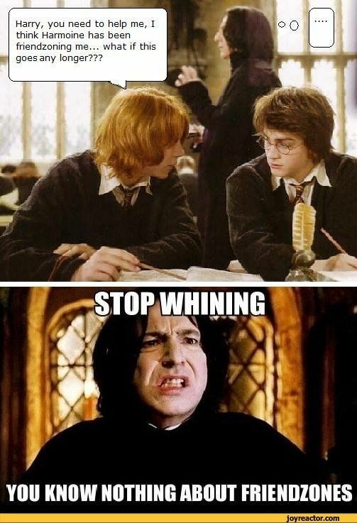 Ron Weasley Memes Harry Potter Amino