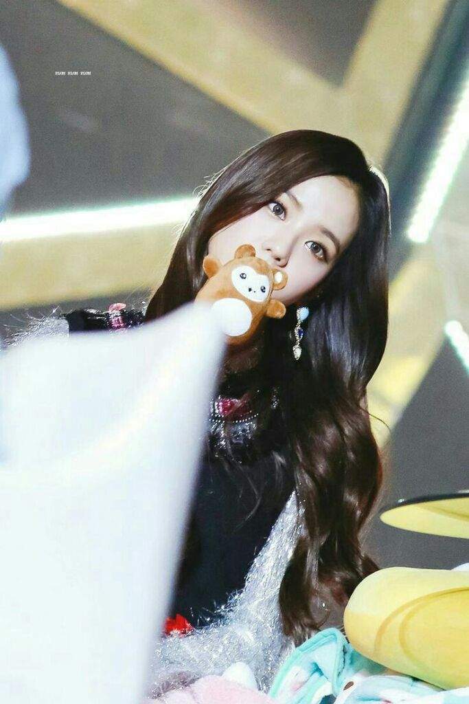 blackpink rose teddy bear