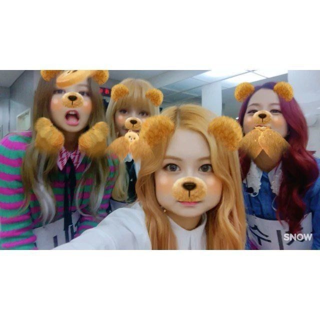 blackpink rose teddy bear