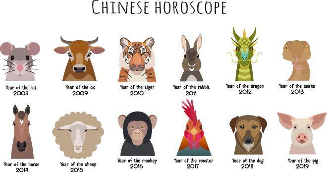 Chinese Zodiac Elements | VHOPE Amino