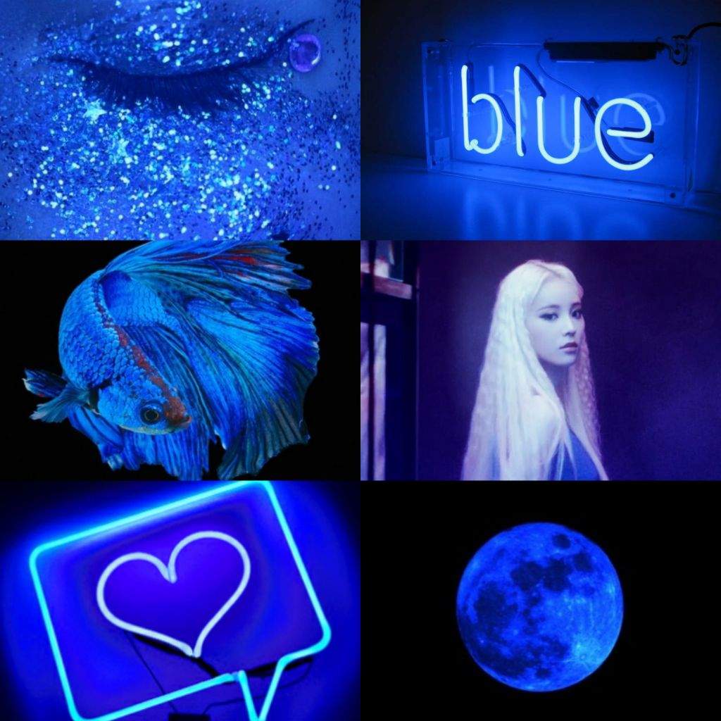 à¸œà¸¥à¸à¸²à¸£à¸„à¹‰à¸™à¸«à¸²à¸£à¸¹à¸›à¸ à¸²à¸žà¸ªà¸³à¸«à¸£à¸±à¸š loona jinsoul blue betta