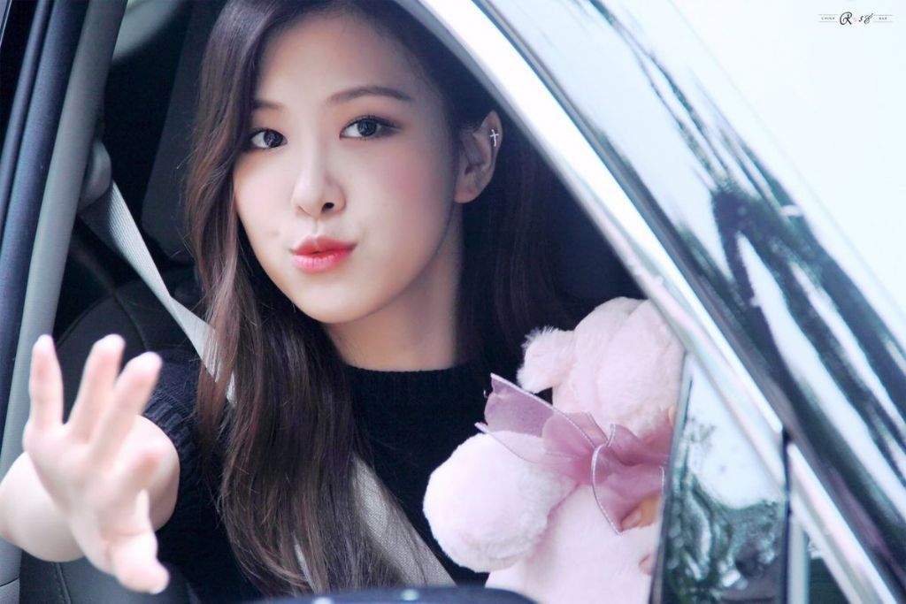 blackpink rose teddy bear