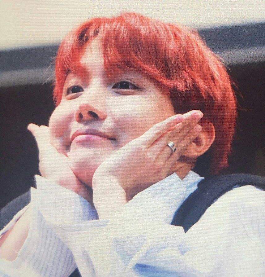 Hobi is so soft and squishy 💓 | ARMY's Amino