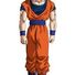 amino-son goku super sayajin blue 3-41677f53