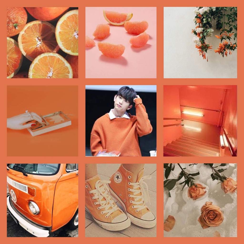  Aesthetic  Rainbow Orange  GOT7 Amino