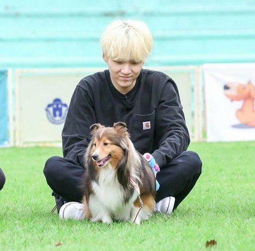 Suga and Demy the Dog | Min Yoongi Global Amino