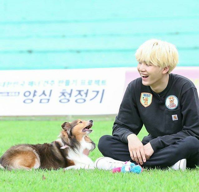 Suga and Demy the Dog | Min Yoongi Global Amino